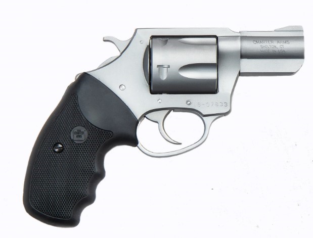 CHARTER ARMS PIT BULL 9MM LARGE 5 SHOT 2.2IN FIXED STANDARD STAINLESS STEEL 79920 - Win Repeating Arms Promotion